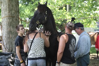 Guests in camp meet Phantom
